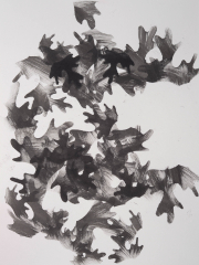 Acanthus filler II