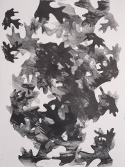 Acanthus filler IV