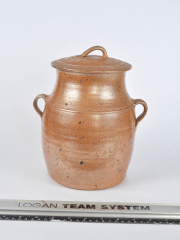 large ginger jar