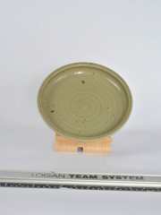dinner plate deep