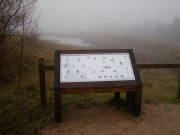 Information Panel