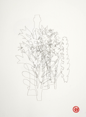Seven Blossfeldt