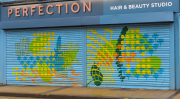 Street shop shutters, Hillsborough Together, 2022