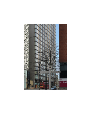 StPaul-tall-10