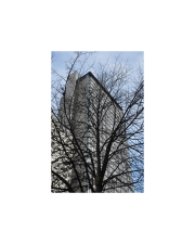 StPaul-tall-11
