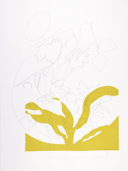 A round boarder, drawing and screen print on Bockingford paper, 35x47 cm, Edition 10.