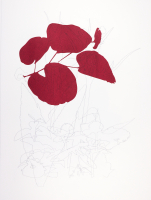 Buds and simple flowers, drawing and screen print on Bockingford paper, 35x47 cm, Edition 10.