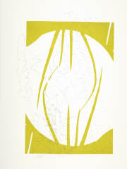Sprays, drawing and screen print on Bockingford paper, 35x47 cm, Edition 10.