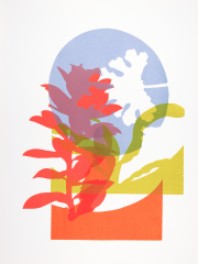 Summer garden, screen print on Bockingford paper, 38x50 cm, V Edition 6.
