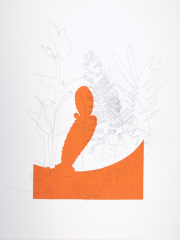 Cactus and fern, drawing and screen print on Bockingford paper, 35x47 cm, Edition 10.